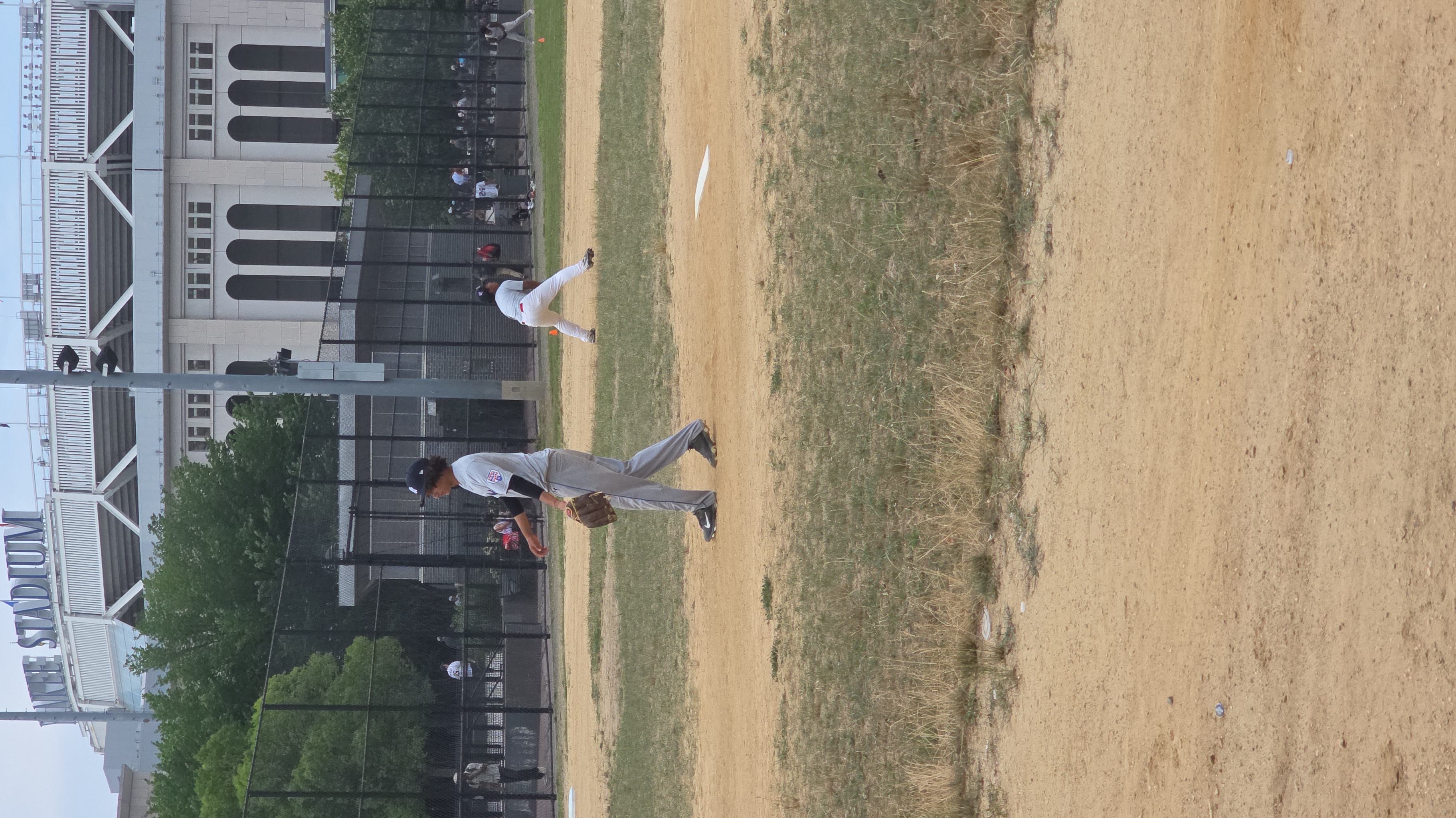 Baseball The Bronx